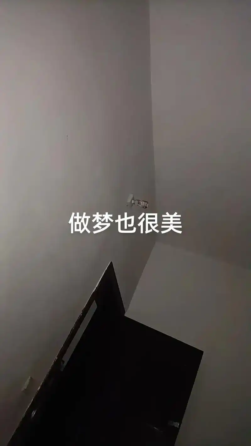 你想要的梦里都有