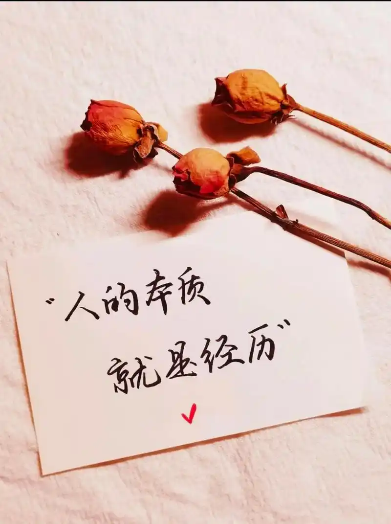 我的人生路.充满了迷茫.无助的让人崩溃! 一直在考虑以后的生活.