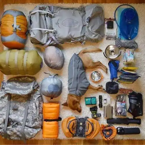 原来这才是露营必带"神器"!