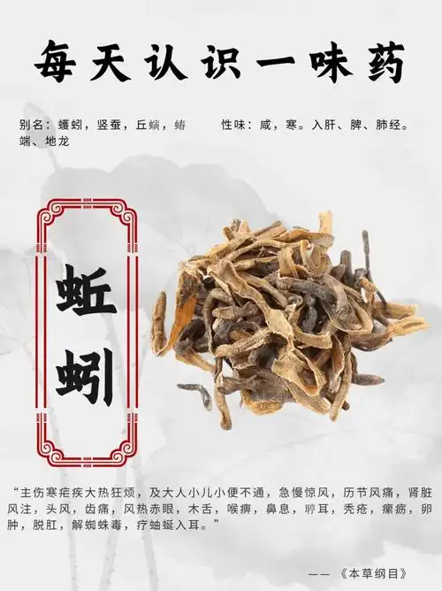 每天认识一味药蚯蚓地龙