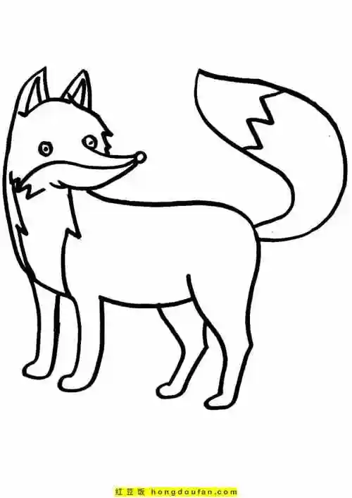 10张狡猾的美女狐狸卡通涂色简笔画-红豆饭小学生简笔画大全
