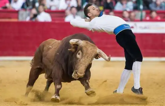 西班牙斗牛是世界知名的娱乐活动,虽然如今被很多人批判不人道,但它