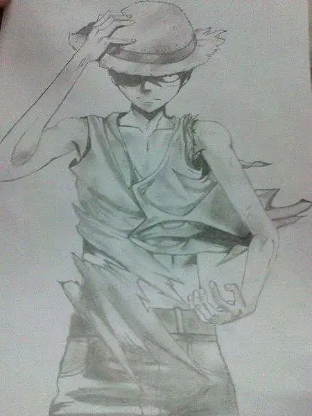 最爱的海贼——路飞