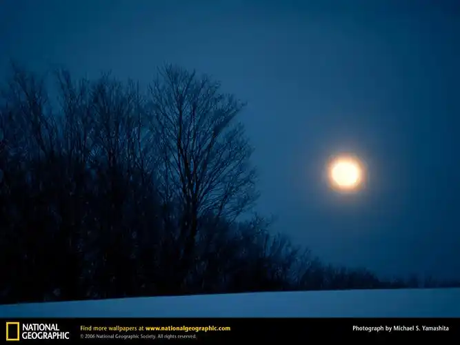 月华是一种衍射现象,当光通过与其波长相近的小水滴时,就会出现光的