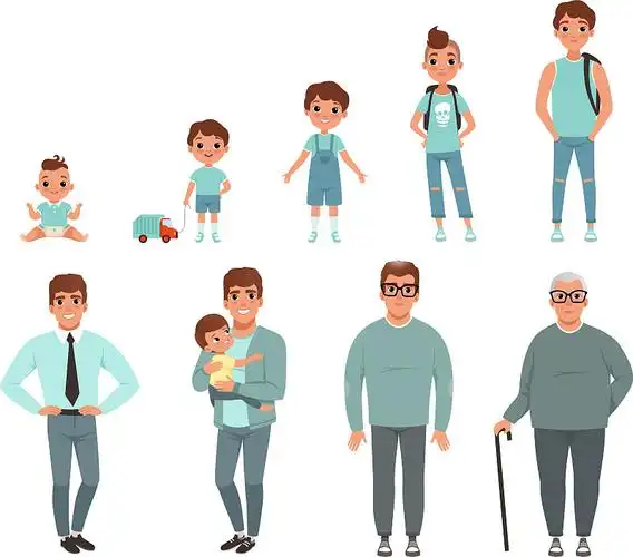 人的生命周期从婴儿开始的成长阶段