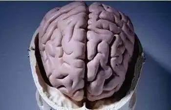 可以让小脑萎缩患者重获新生的治疗方法