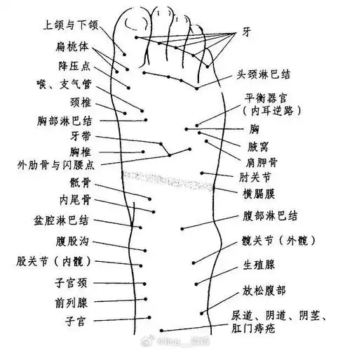 中医美(6)要想年轻就要月经好,保养好我们的子宫和卵巢.