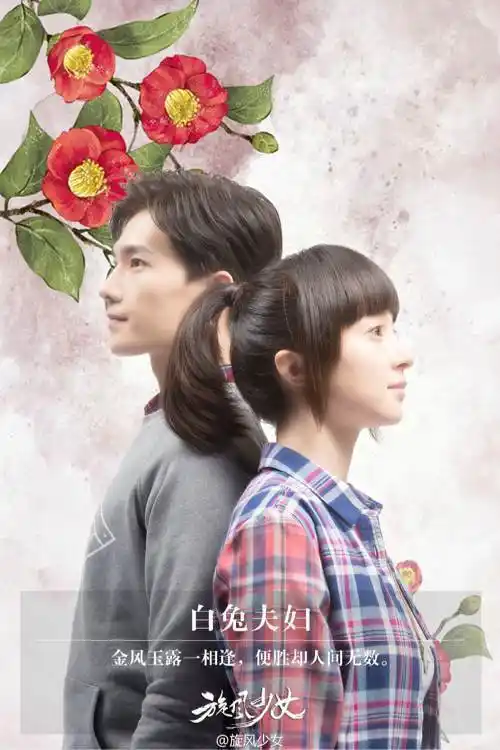 旋风少女大结局若白病发生死未卜第二季开拍