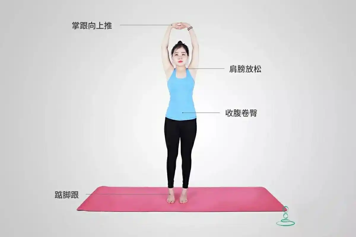 【瑜伽郭教练】分享体式——摩天式 功效:  ◇ 伸展脊柱,缓解僵硬与