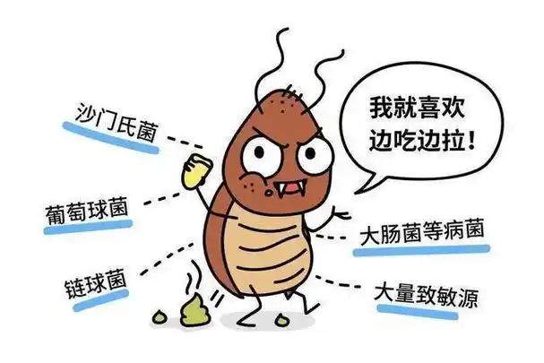 蟑螂过 敏,常表现为以下三种情况:蟑螂的分泌物,排泄物,呕吐物,蟑螂体