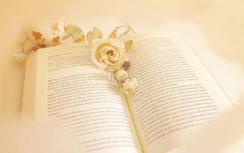 白色玫瑰花和书 壁纸 - 1280x800