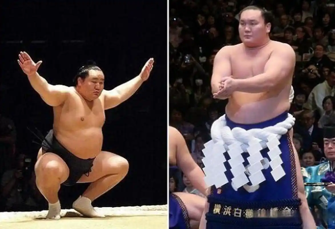 朝青龙和白鹏性格迥异,结局不同,你赞同谁的选择 尽管又很多证据表明