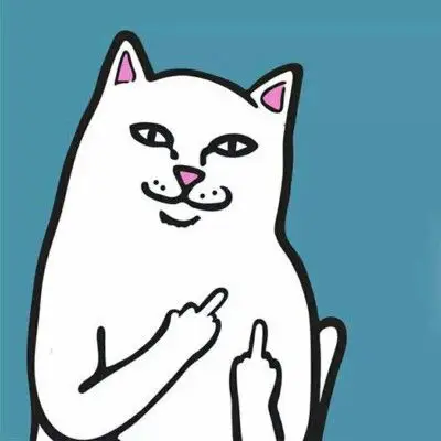 基努里维斯竖中指