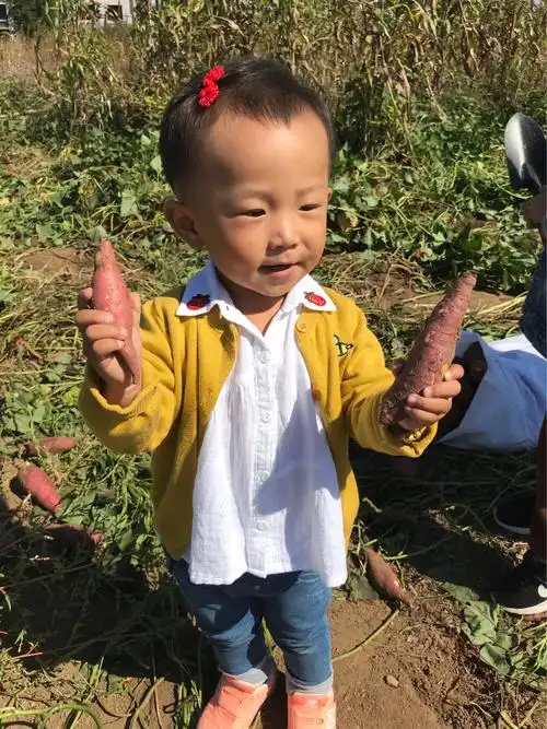 翟老师我告诉你啊,我知道哪里有地瓜,跟我走吧