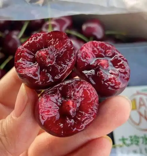 过年首选の拉宾斯车厘子,均价33.6元/斤起!精选2j/3j,走亲访友必买!