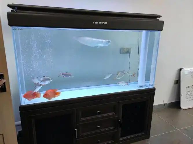 二手鱼缸