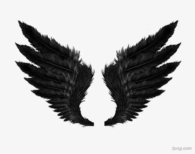 黑色天使翅膀png素材透明免抠图片-其他元素
