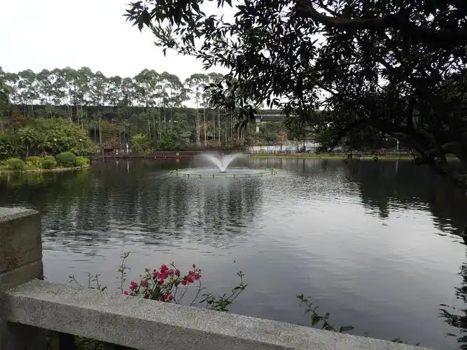 广州越秀山北秀湖一瞥