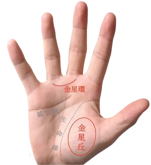 手相第四课——财运