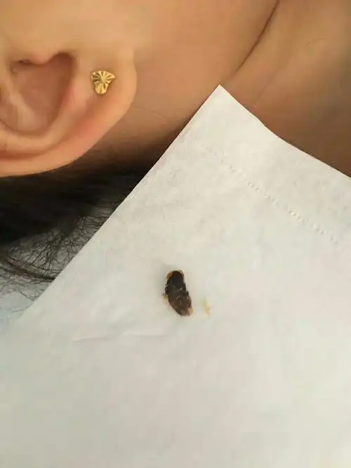 南召奇缘阁专业采耳店盛大开业,试营业期间半价优惠,恭候您的光临!