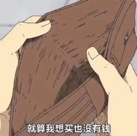就算我想买也没有钱_我想_就算_没有表情