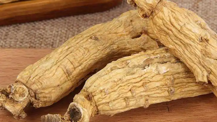 力参的功效与作用,禁忌和食用方法-中医百科