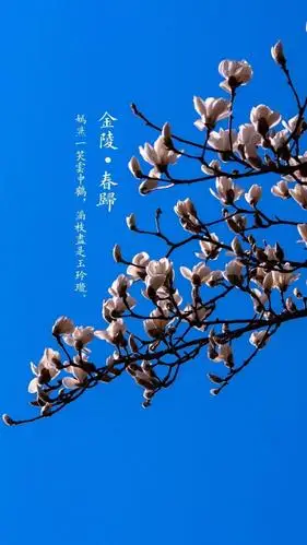 唯美风光诗词锁屏