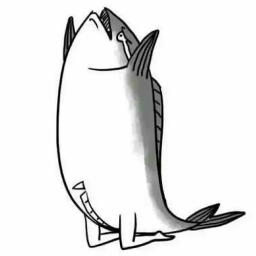 搞怪头像/咸鱼/放过我吧/我错了