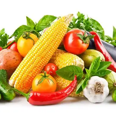 四季蔬菜种子樱桃萝卜薄荷圣女果香菜小香葱草莓青椒鸡毛菜种籽孑