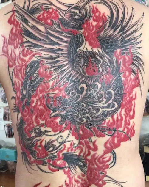 凤凰涅槃纹身图片_背部老传统新传统纹身图案