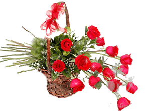 动态花卉_百度图片搜索