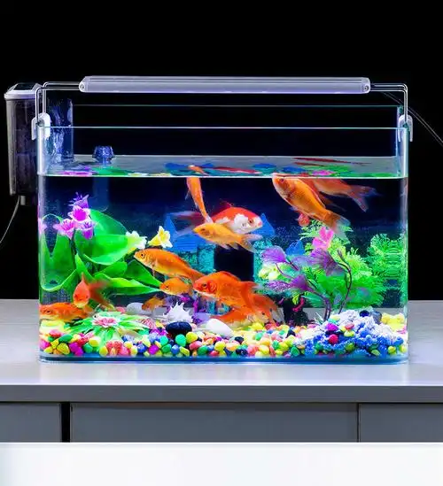 鱼缸尺寸:其他商品产地:其他商品毛重:100.