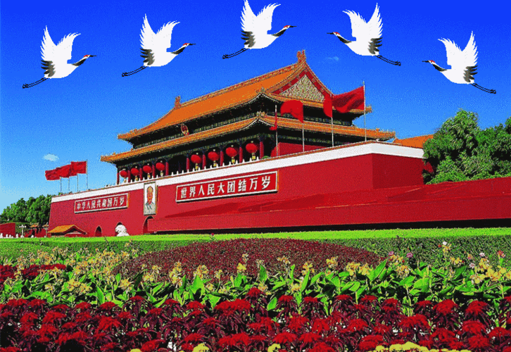 746_514gif 动态图 动图