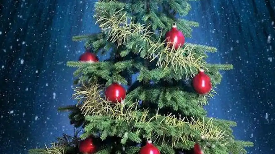 你知道吗?圣诞树顶上的星星叫伯利恒之星