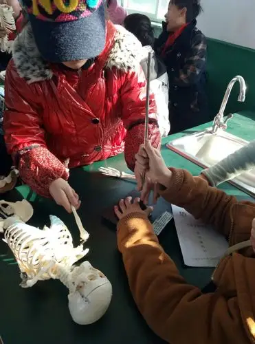 与学生共同进行人体骨骼认识的实验课 学生分组组装儿童骨骼模型