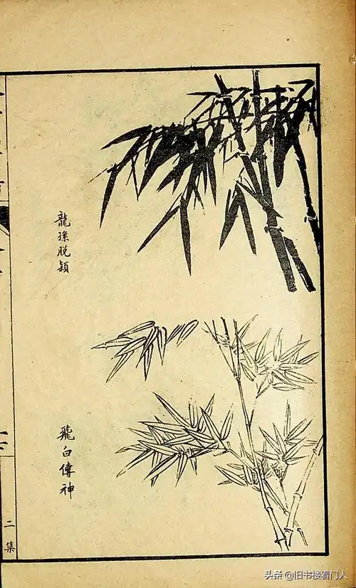 艺术类学画必修之书芥子园画谱竹谱