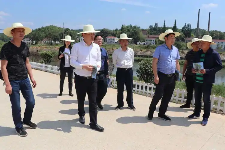 10日,县委书记田文静,县领导王保林,苏红琳,胡海平在公田镇调研乡村