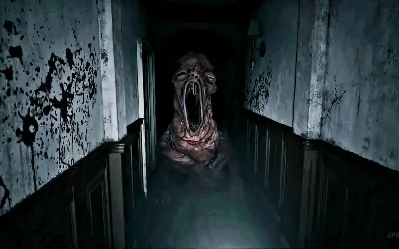 生化危机8生化8人偶之家的巨婴太阴间了压迫感极强