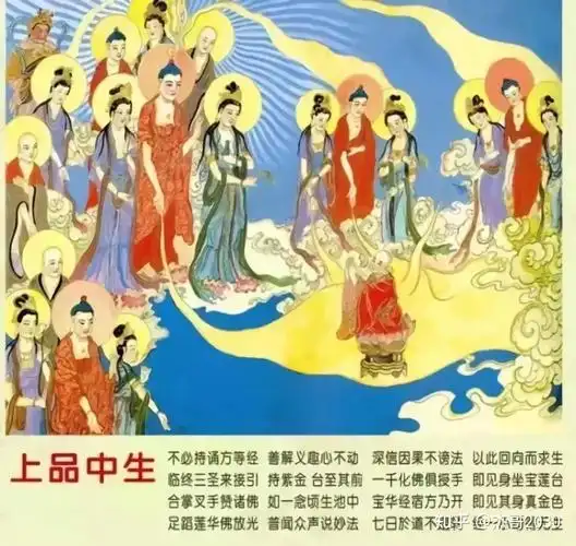 往生极乐世界九品莲位图文详解,过目增福添慧! - 知乎