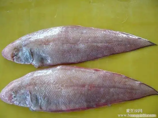 全票代理进口比目鱼黄岛港清关