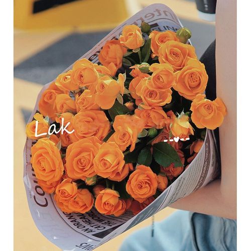 鲜花 同城配送橙色芭比多头泡泡玫瑰花束生日礼物纪念日告白送老
