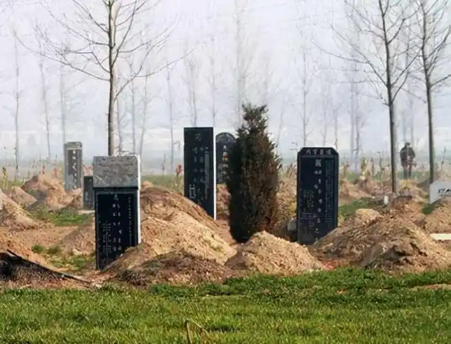 要是每个人的坟墓,自