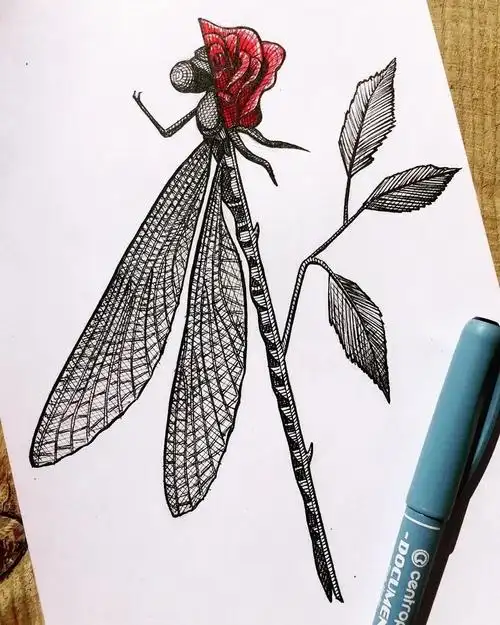 手绘丨钢笔画 线条排的太舒服了