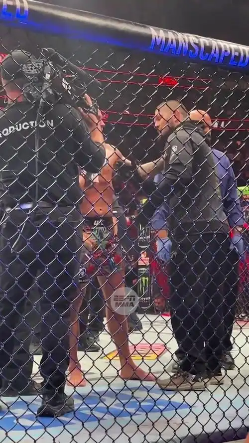 "小鹰"哈比布·努尔马戈梅多夫(khabib nurmagomedov)在ufc 302赛后跟