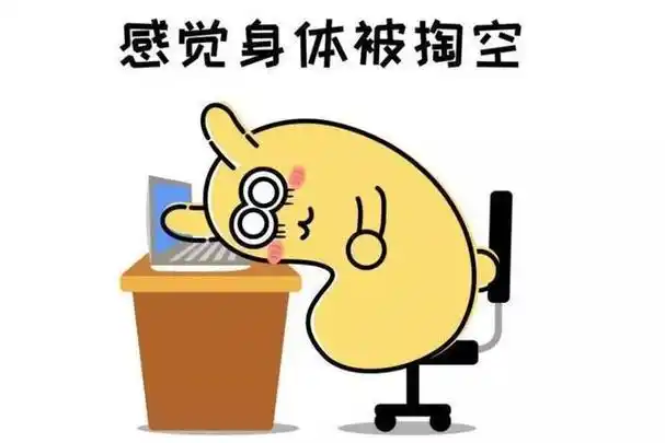 肠胃紊乱的症状全身无力(肠胃紊乱的症状全身无力怎么办)