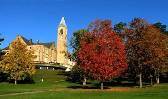 美国康乃尔大学