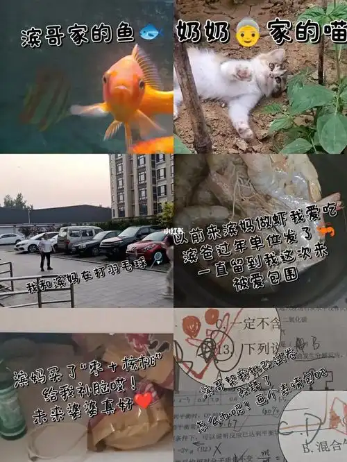 78的生活日常不再数天数过日子