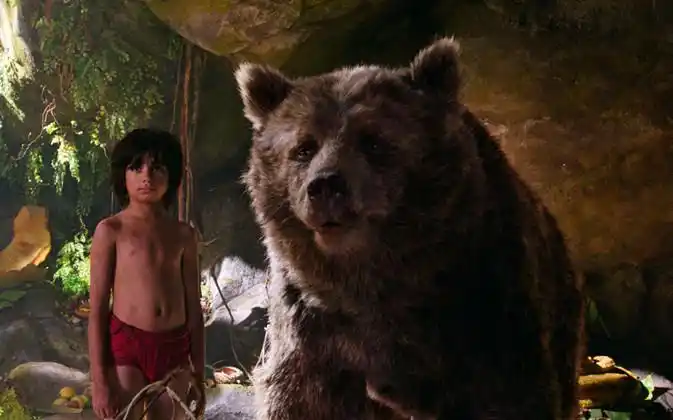 《奇幻森林》:小男孩在森林里逃亡,却因动物的帮助而成长