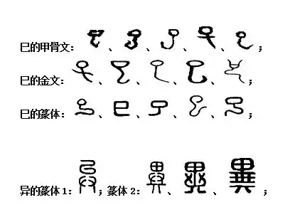 汉字溯源(说文解字)43:巳,?,巶,祀,起,?
