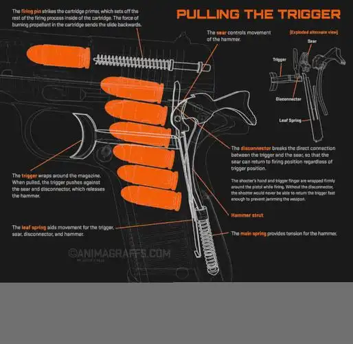 有才军迷分享手枪击发工作原理动漫图